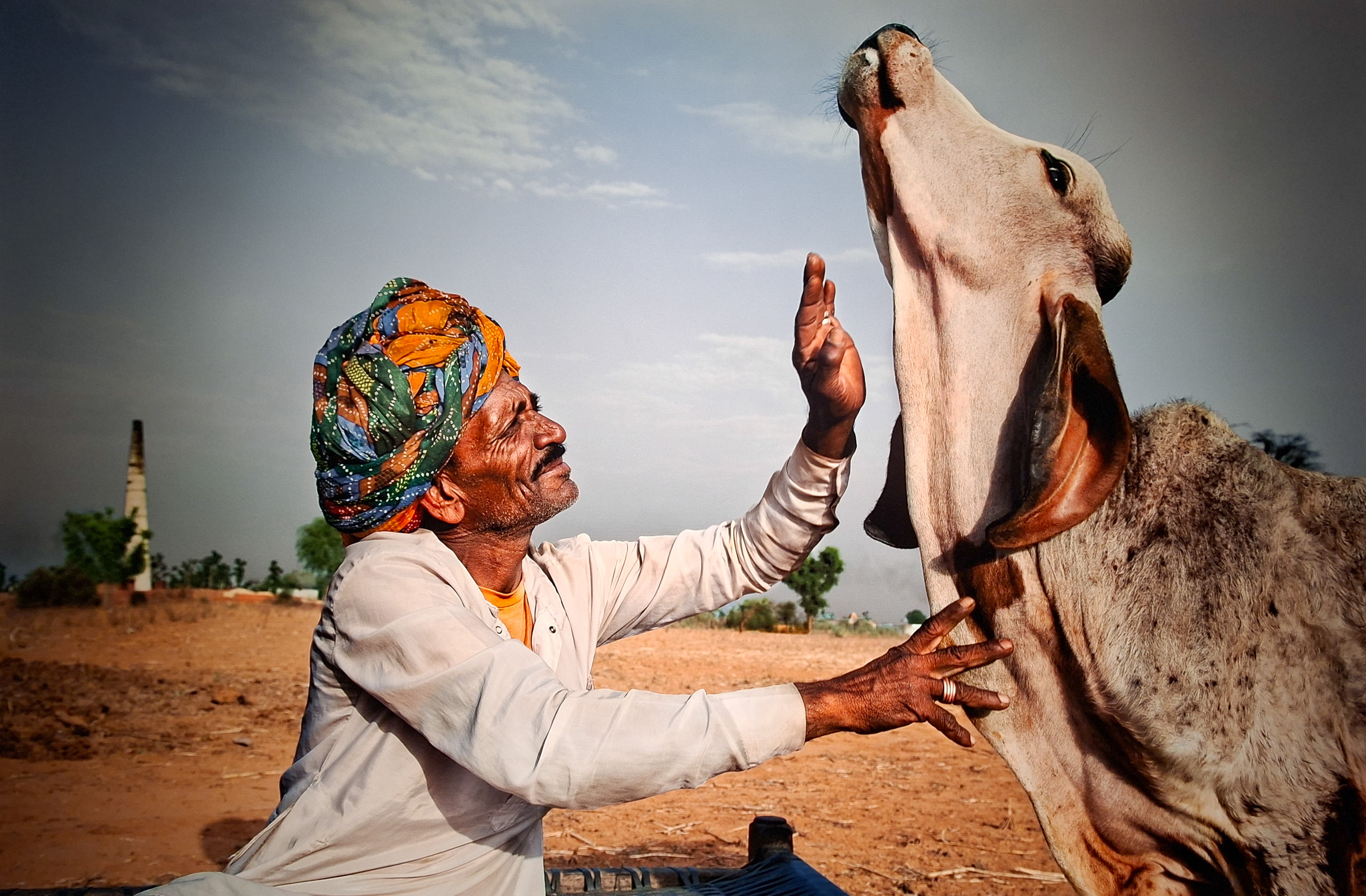 Móvil 20260613 Steve McCurry 105